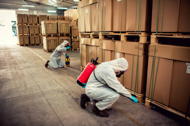 Best Bed Bug Extermination  in Burleson, TX