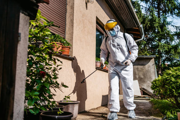 Pest Prevention Services in Burleson, TX