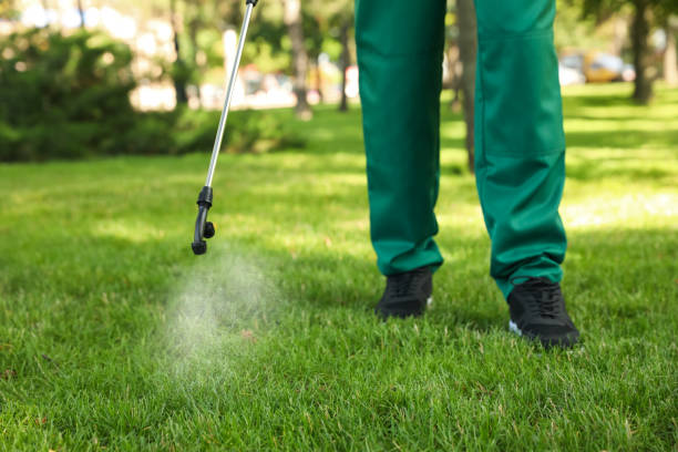 Professional Pest Control in Burleson, TX