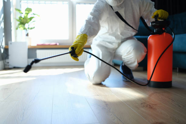 Trusted Burleson, TX Pest Control Experts
