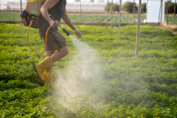 Best Wildlife Control Services  in Burleson, TX