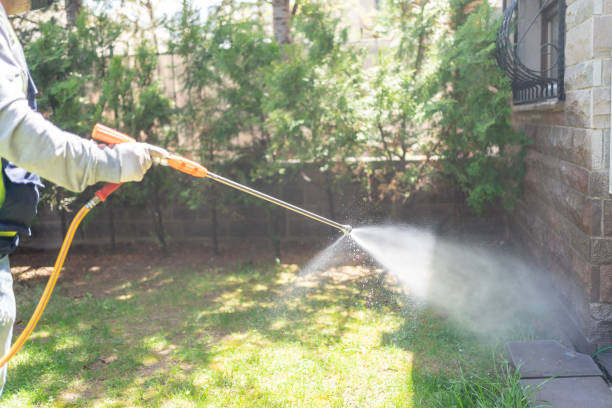 Best Bed Bug Extermination  in Burleson, TX