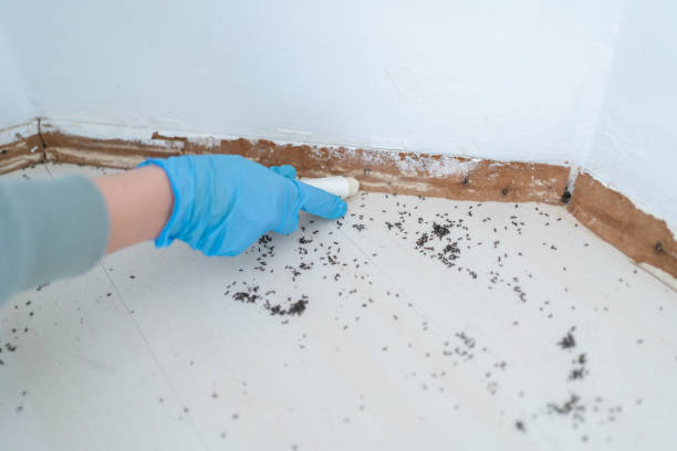 Best Best Pest Control Companies  in Burleson, TX
