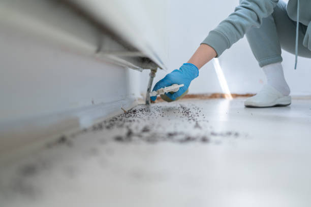 Best Pest Control for Restaurants  in Burleson, TX