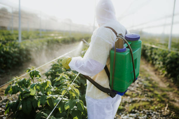 Best Local Pest Control Services  in Burleson, TX